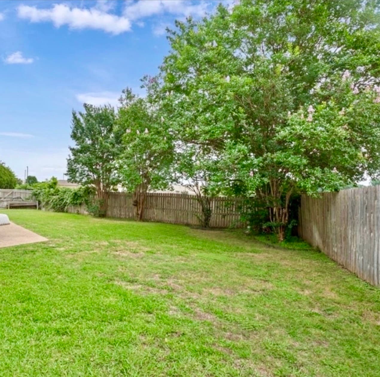 New fence. New look before